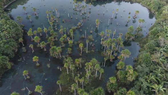 Panning wide of Macaws Lake tourism landmark at Nobres Mato Grosso Brazil.