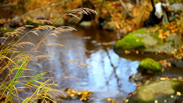 River in Autumn