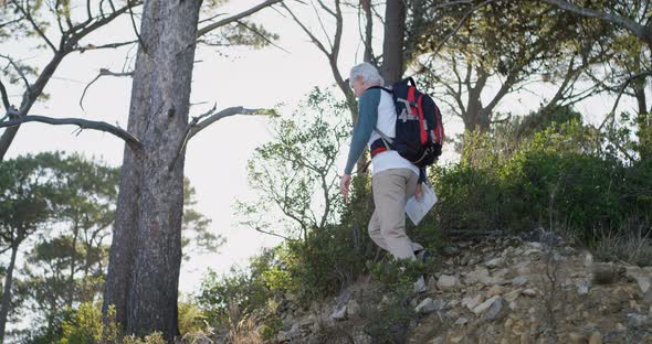 Senior man hiking in the forest on a sunny day 