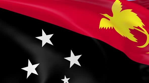 Papua New Guinea Flag alt