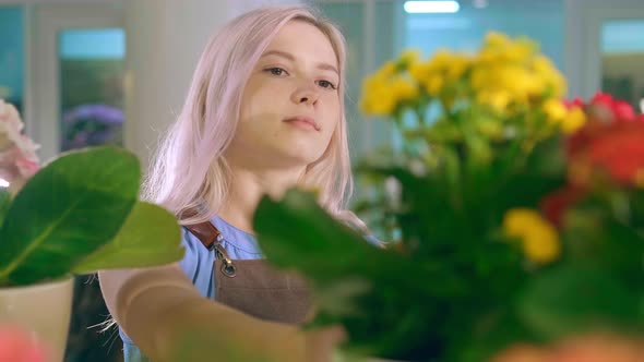 Nice Woman Inspects Blooming Home Plants in Flower Shop