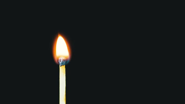 Igniting Match and Flame on a Black Background