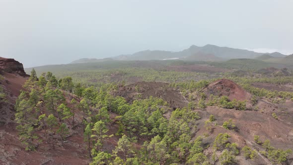 Tenerife Canary Islands Volcanic Landscape in Teide National Park