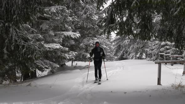 Man Ski Touring In Snow Covered Forest