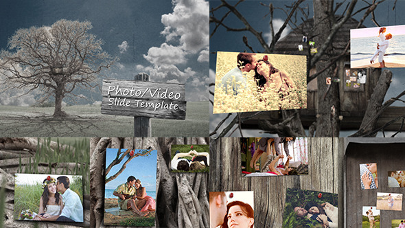 Slide Show - The Tree Of Memories alt