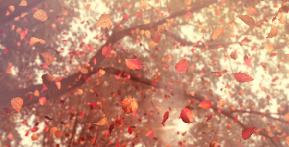 Autumn Flying Leafs #22