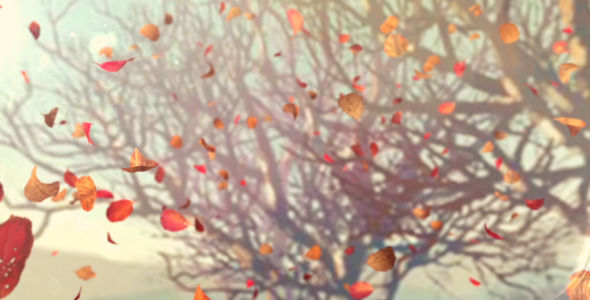 Autumn Flying Leafs #4