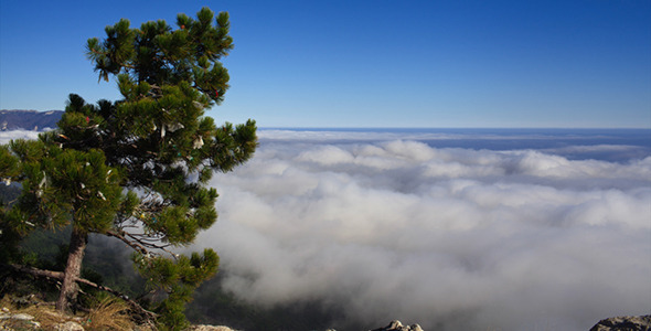 Top View of the Clouds alt