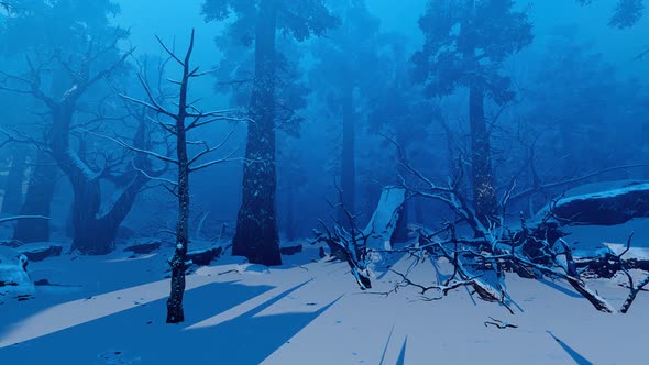 Les 4 2018 2560 1440 alt