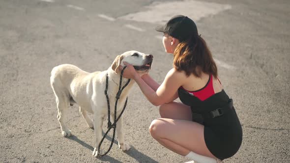 Happy Beige Labrador Wagging Tail As Young Woman Caressing Dog Head Talking in Slow Motion