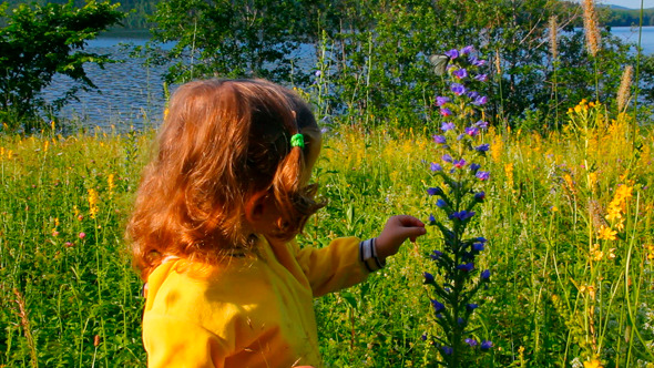Little Girl And Butterfly  alt