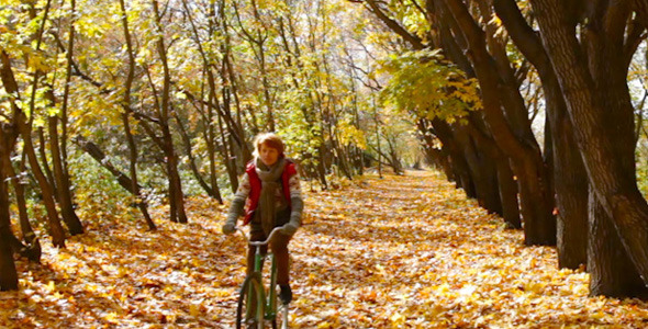 Cycle Trip