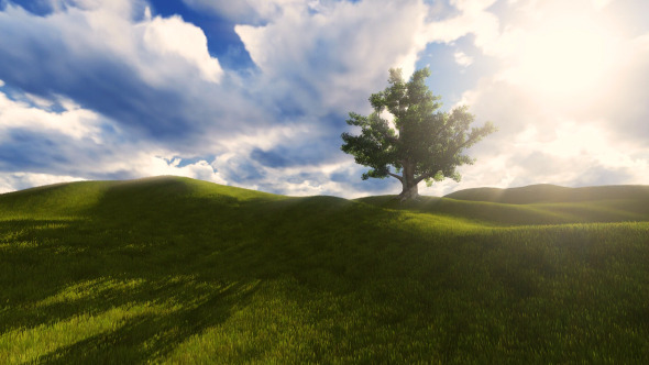 Tree On The Blistful Field