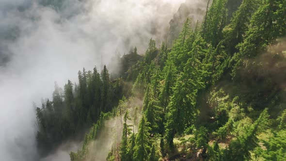 Aerial Drone View Flight Over Pine Tree Mountain Forest at Sunset with Clouds