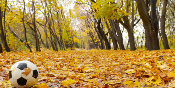 Individual Match alt