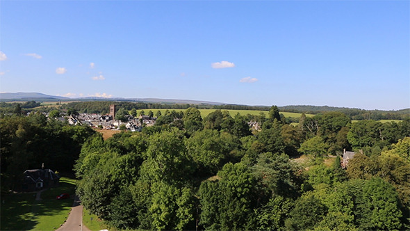 Village in the Forest alt