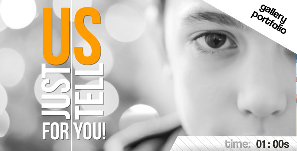 Portfolio Gallery  alt