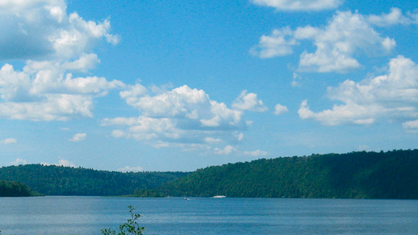 Summer Landscape With Lake