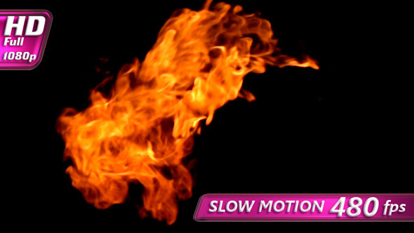Flame in Motion