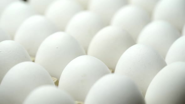 White chicken eggs in a cardboard box. Eggs in a paper tray.