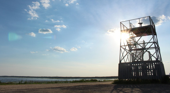 New Jersey Wildlife Sanctuary Observation Deck