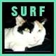 Surfing Uplifting