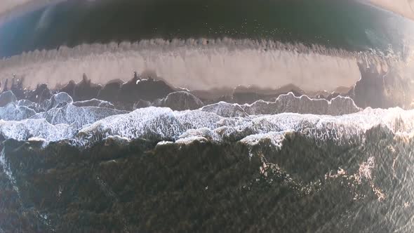 Amazing scenery above the waves. Birds and wildlife (aerial footage)