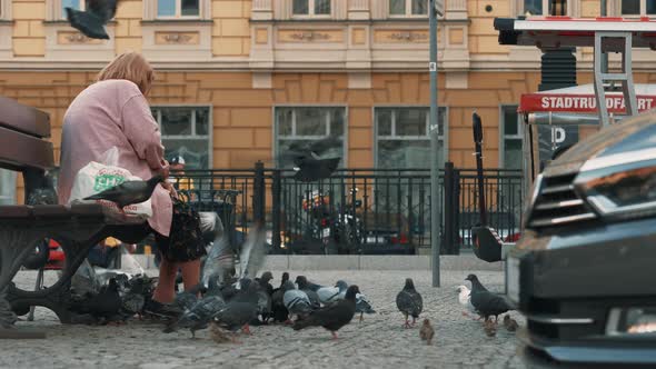 Woman feeding pigeons 