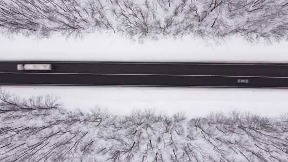 Aerial View of Winter Road and Forest with Snow Covered Trees