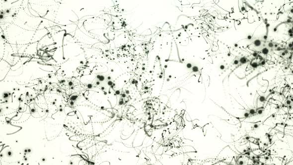 Abstract Particle Lines White Background alt
