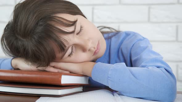 Schoolgirl fell asleep on the books.