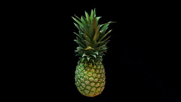 Spinning 3D Pineapple