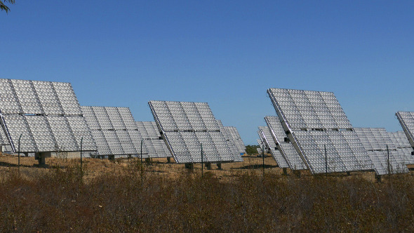 Field of Solar Panels 871