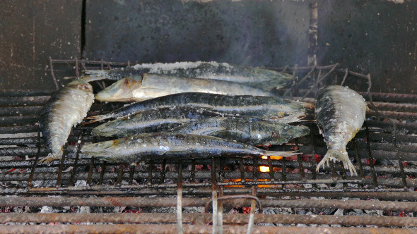  Fish Sardines Grilling on Grid 878