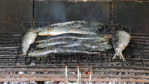  Fish Sardines Grilling on Grid 879