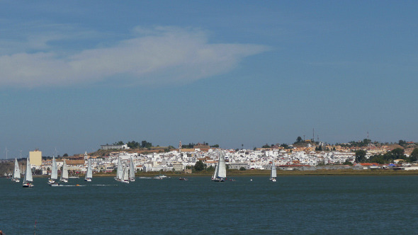 Many Sailing Yachts Moving in the Bay 884