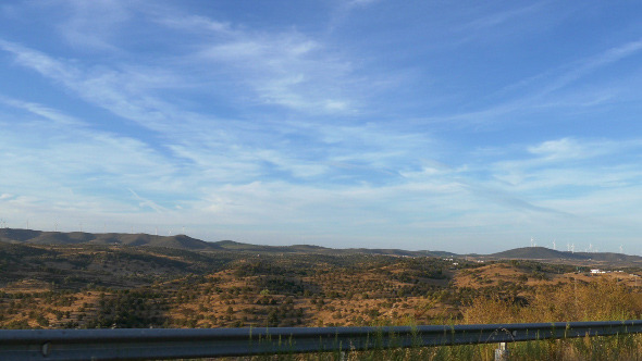 Fruit Trees in Agriculture Field 889 alt