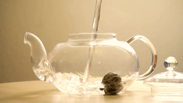 Green Tea in Shape of Flower in Teapot