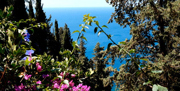 Flowers And Sea 2