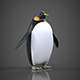 Penguin - 3DOcean Item for Sale