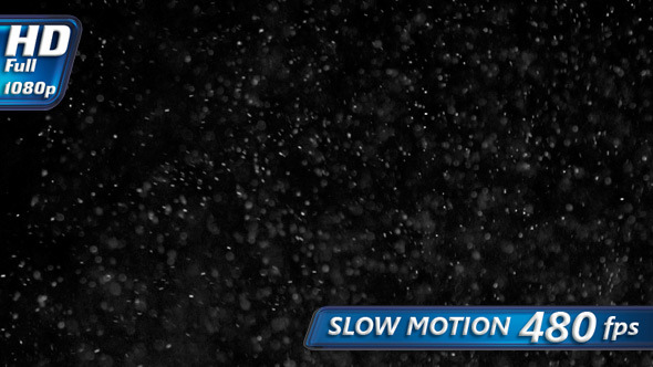 Chaotic Wildness alt