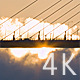Sunrise Bridge - VideoHive Item for Sale