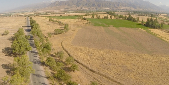 Field and Road Aerial 