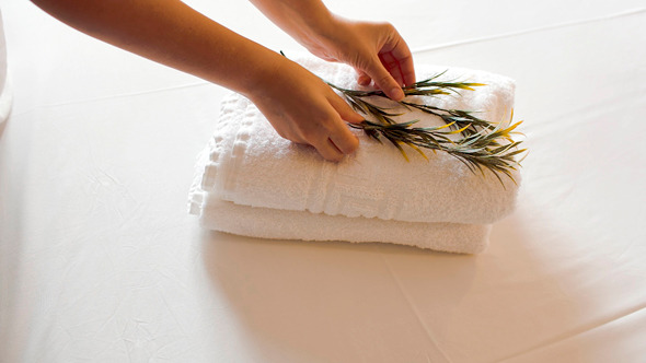 Clean Towels With Olive Branches On Bed
