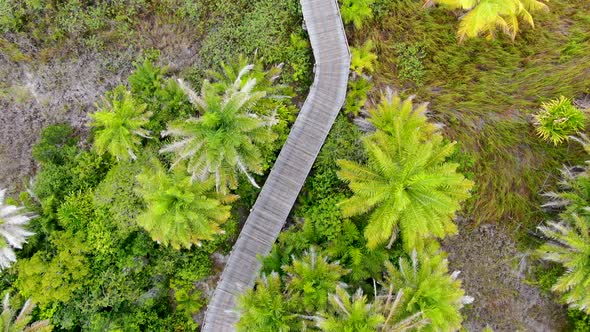 Aerial View of Wooded Bridge Over the Tropical Forest, Brazil