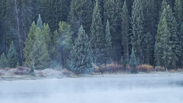 Steam rising from the Snake River looking towards pine trees