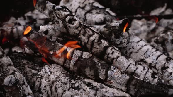 Ready embers of wood for barbecue