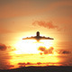 Plane Starting Against Sunset Sky - Version 2 - VideoHive Item for Sale