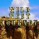 Wild West Journey