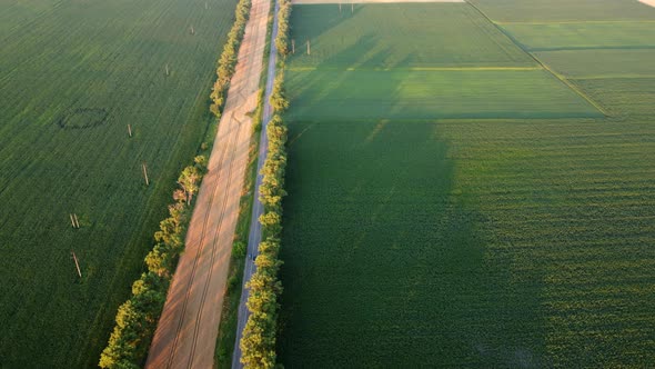 Drone Flying Over Road Between Green Agricultural Fields During Dawn Sunset